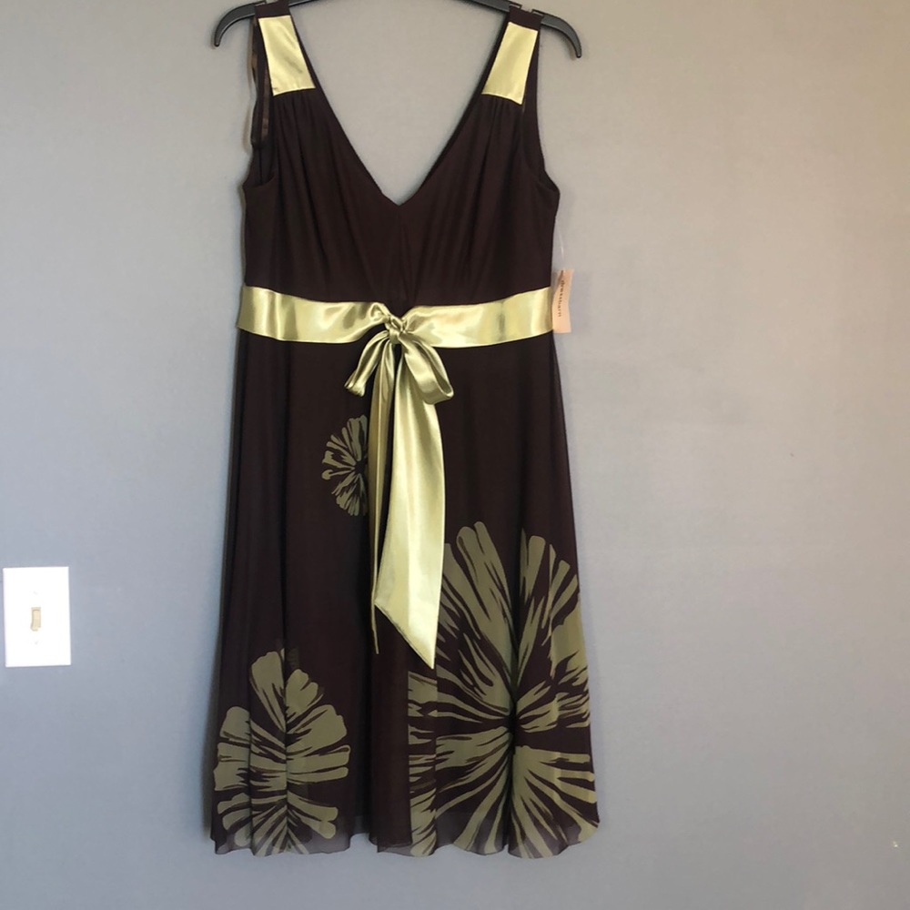 New! Cute Dressbarn dress!